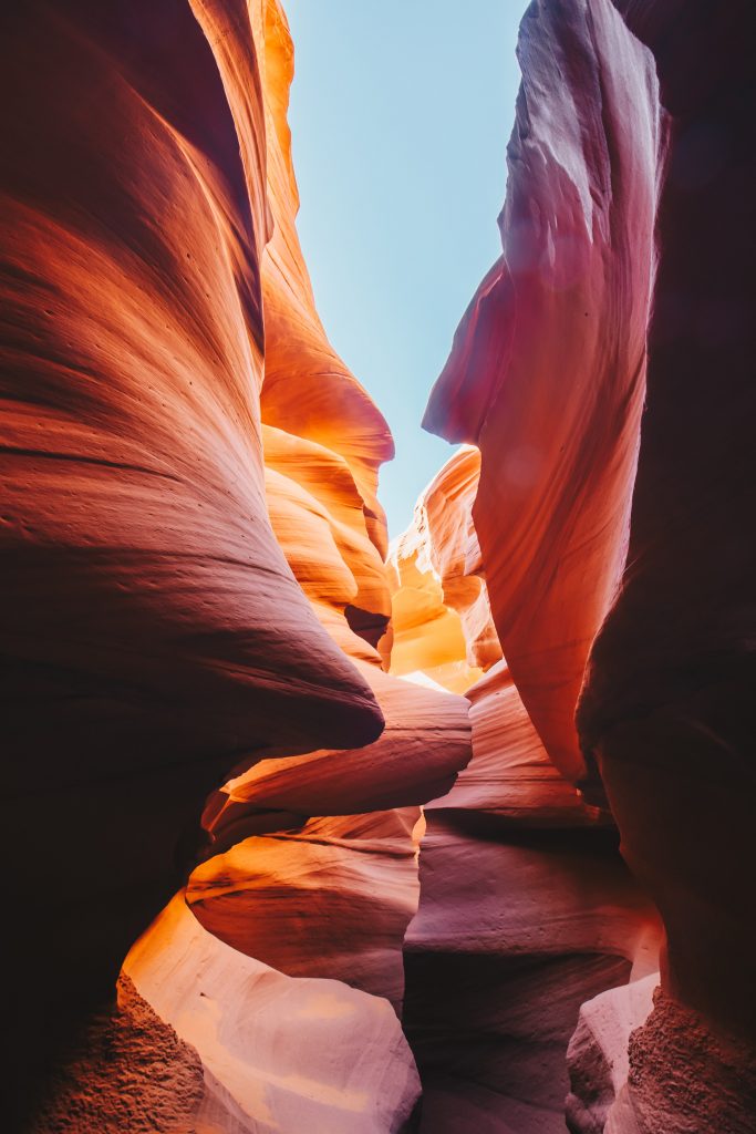 antelope_027