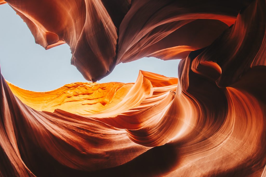 antelope_037