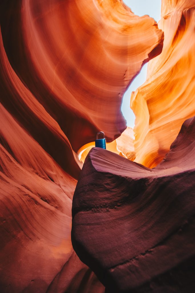 antelope_040