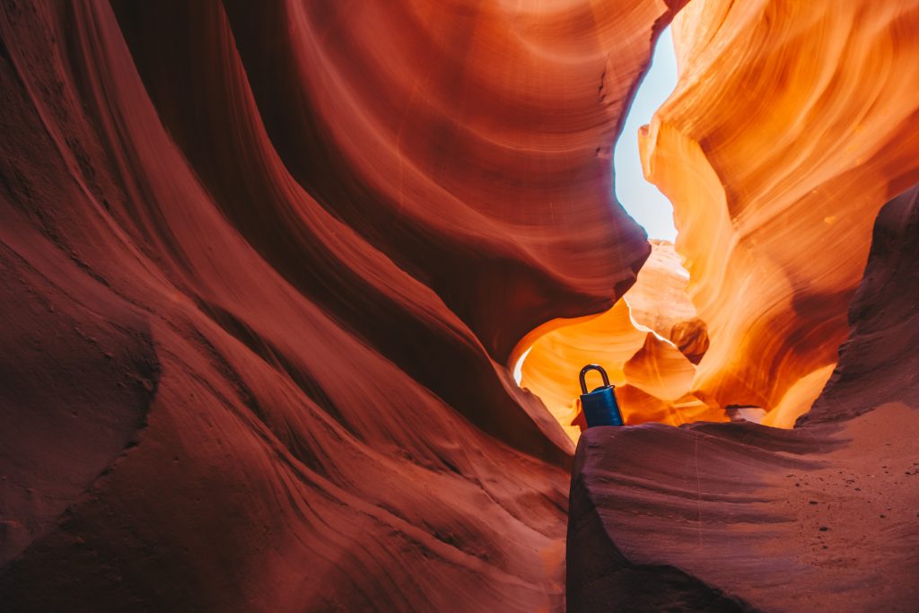 antelope_041