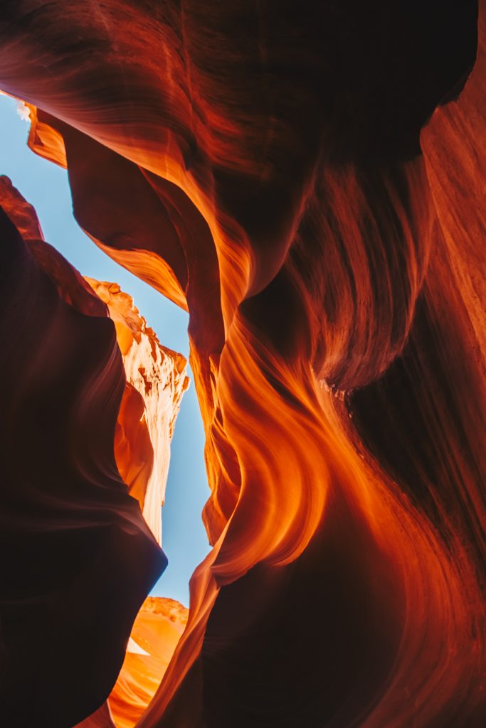 antelope_044