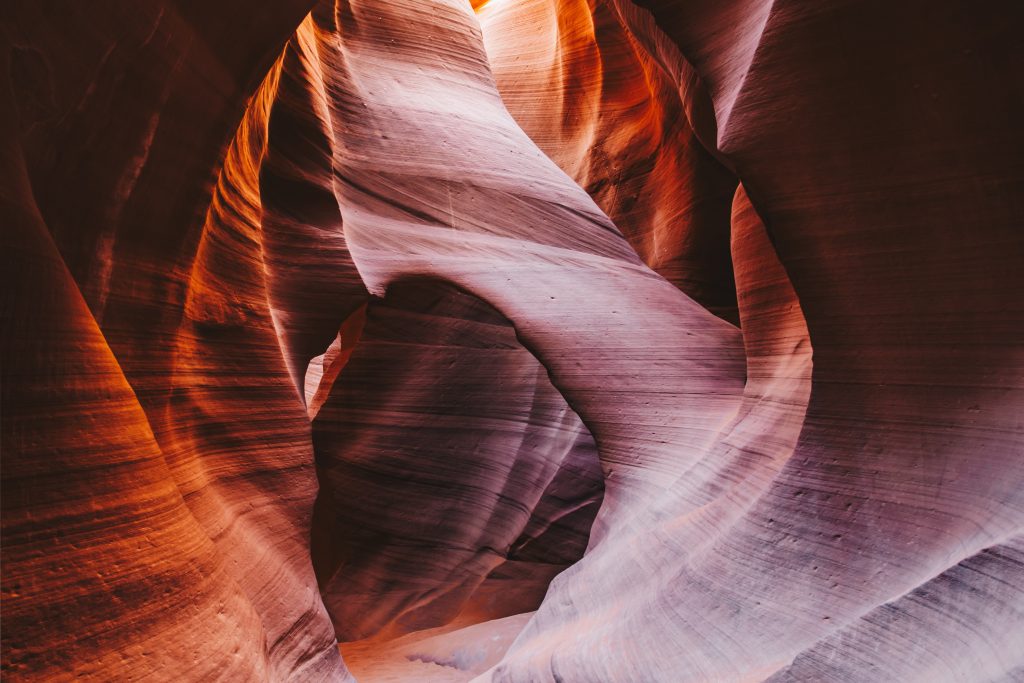 antelope_049