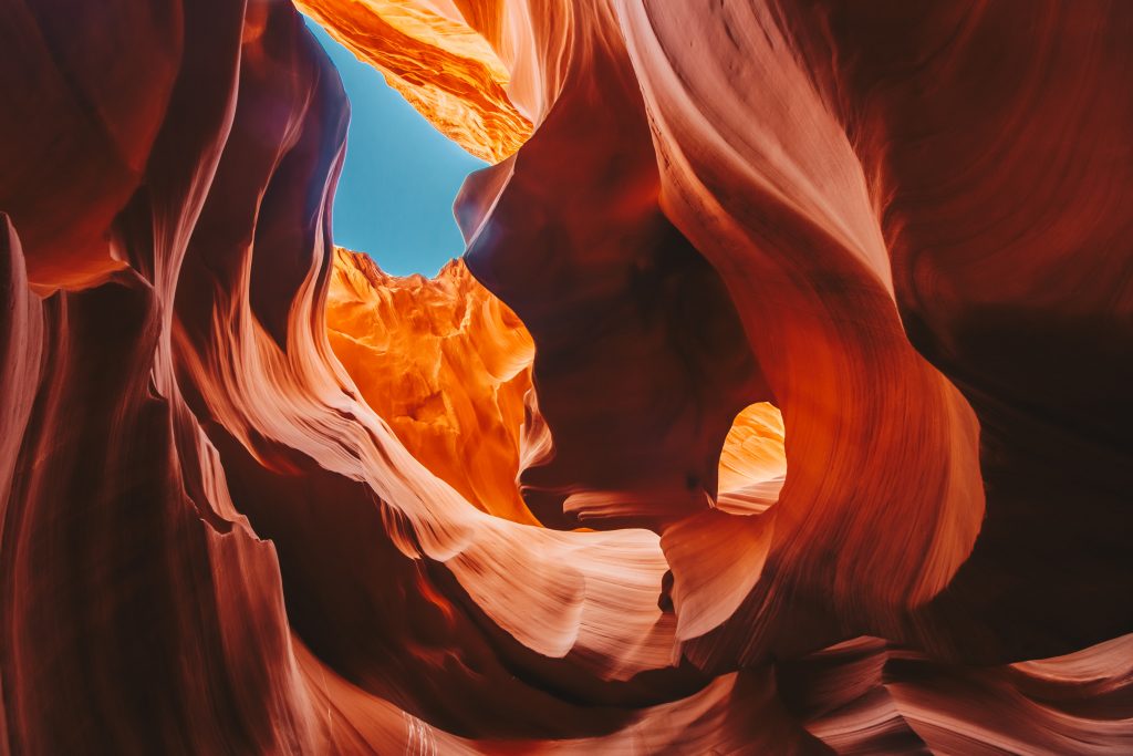 antelope_052