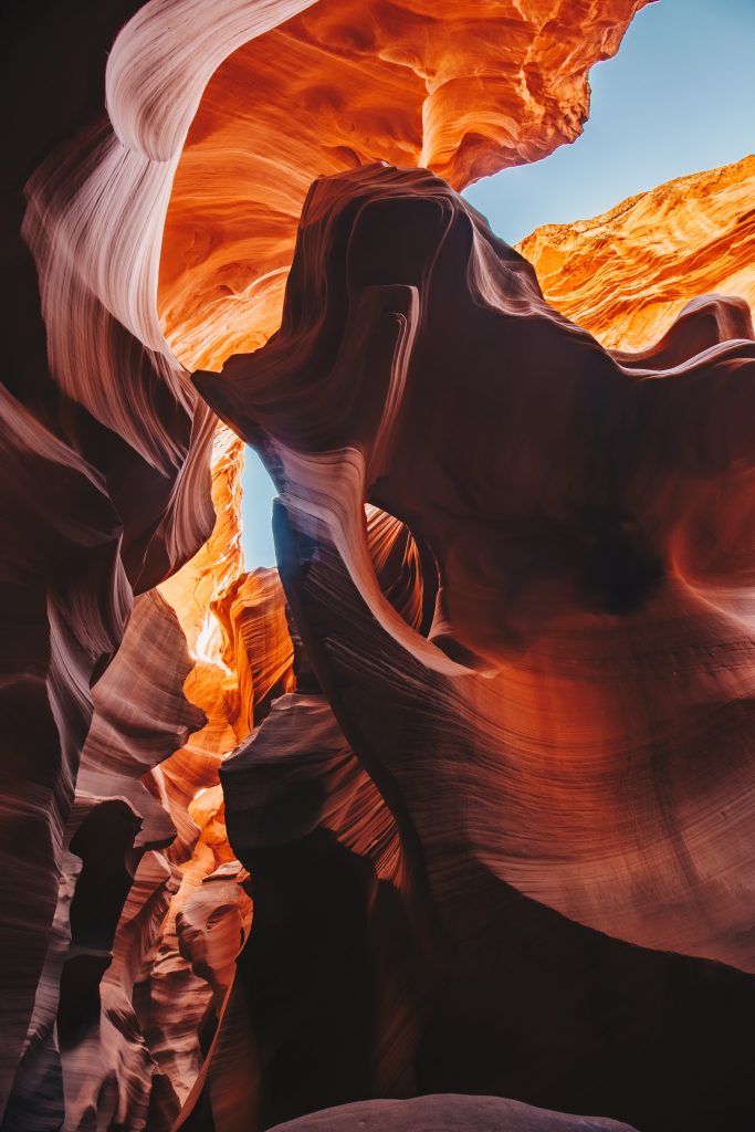 antelope_055