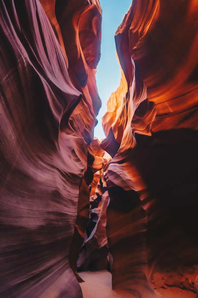 antelope_068
