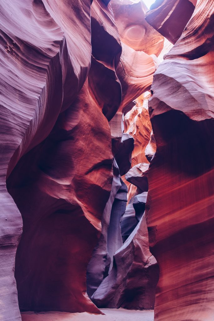 antelope_070