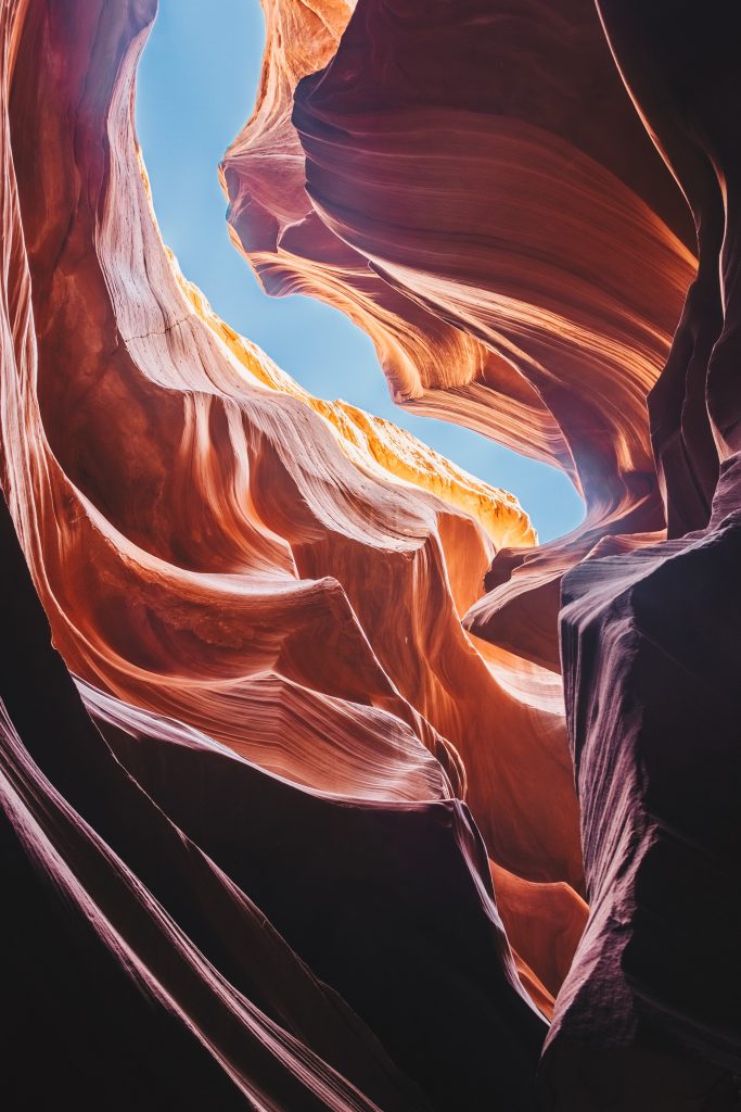 antelope_086