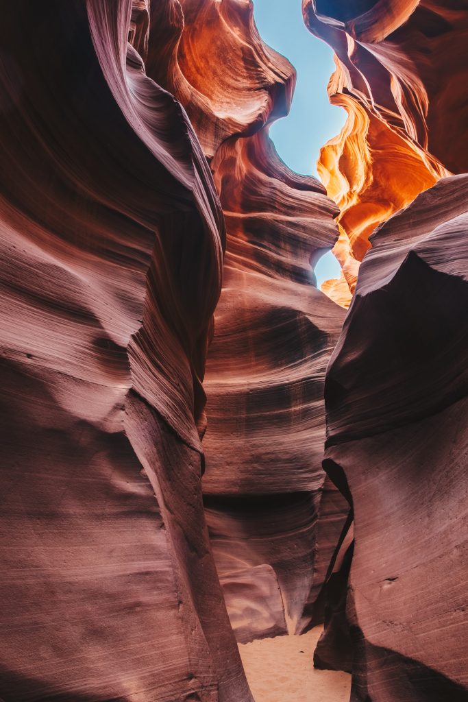 antelope_087
