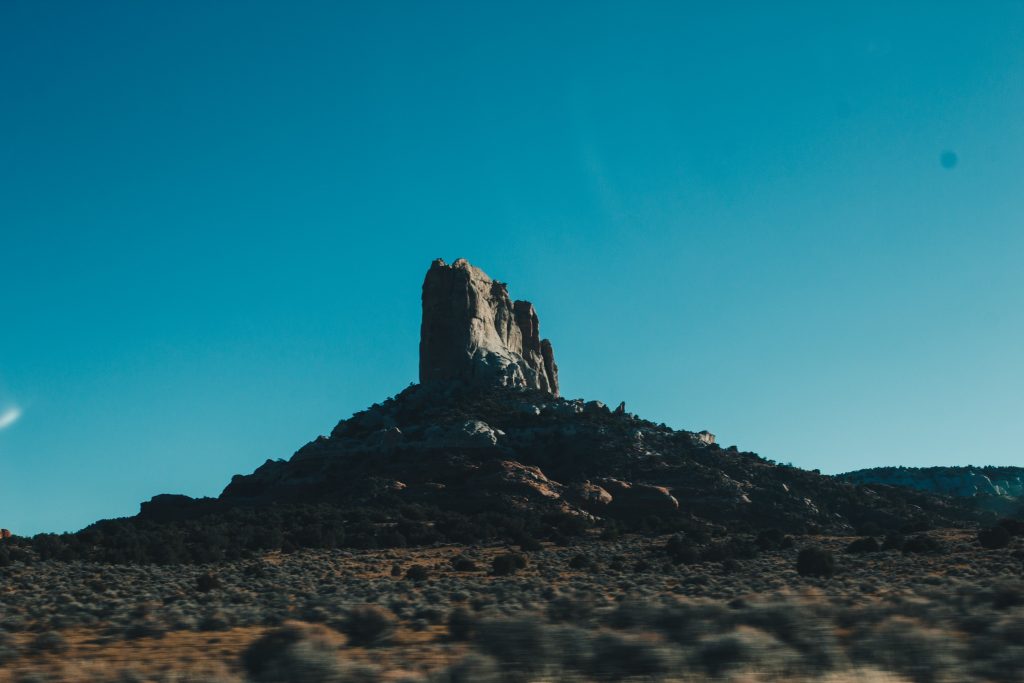 antelope_090