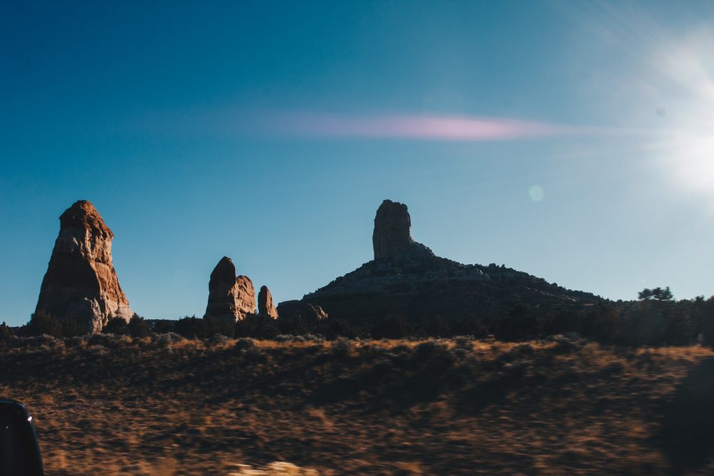 antelope_091