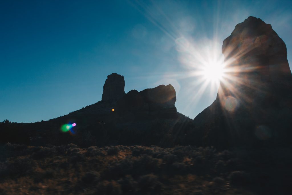 antelope_092