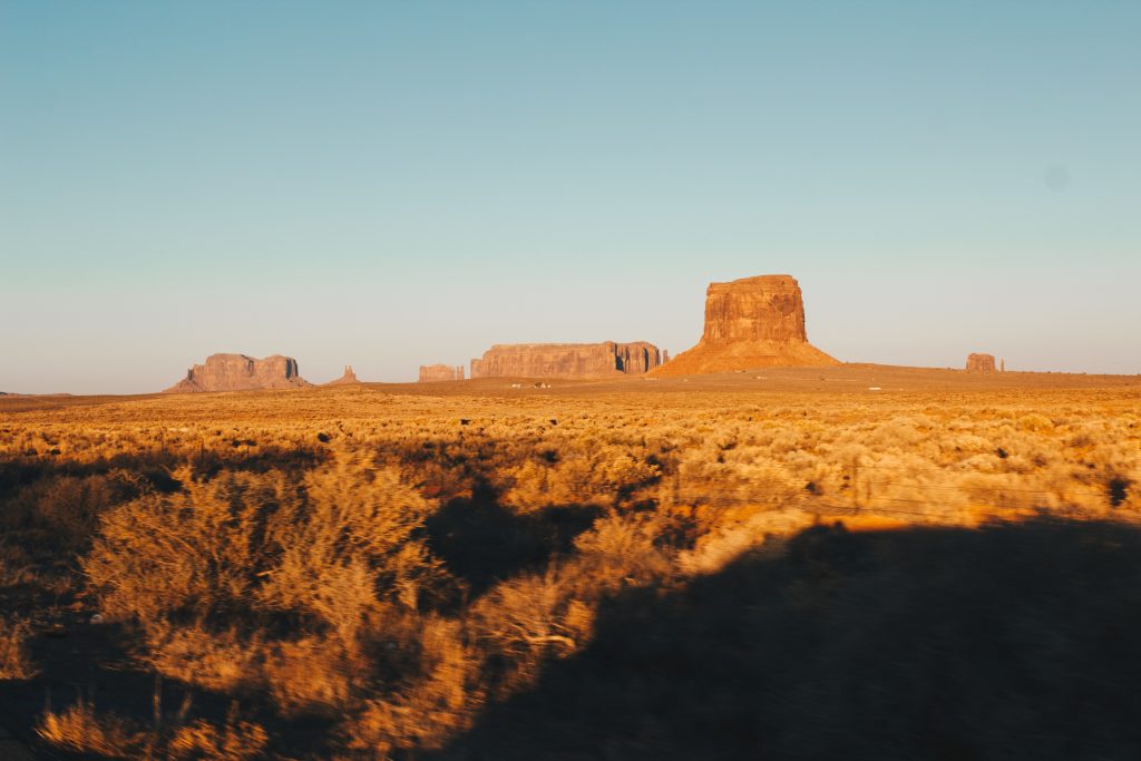 antelope_095