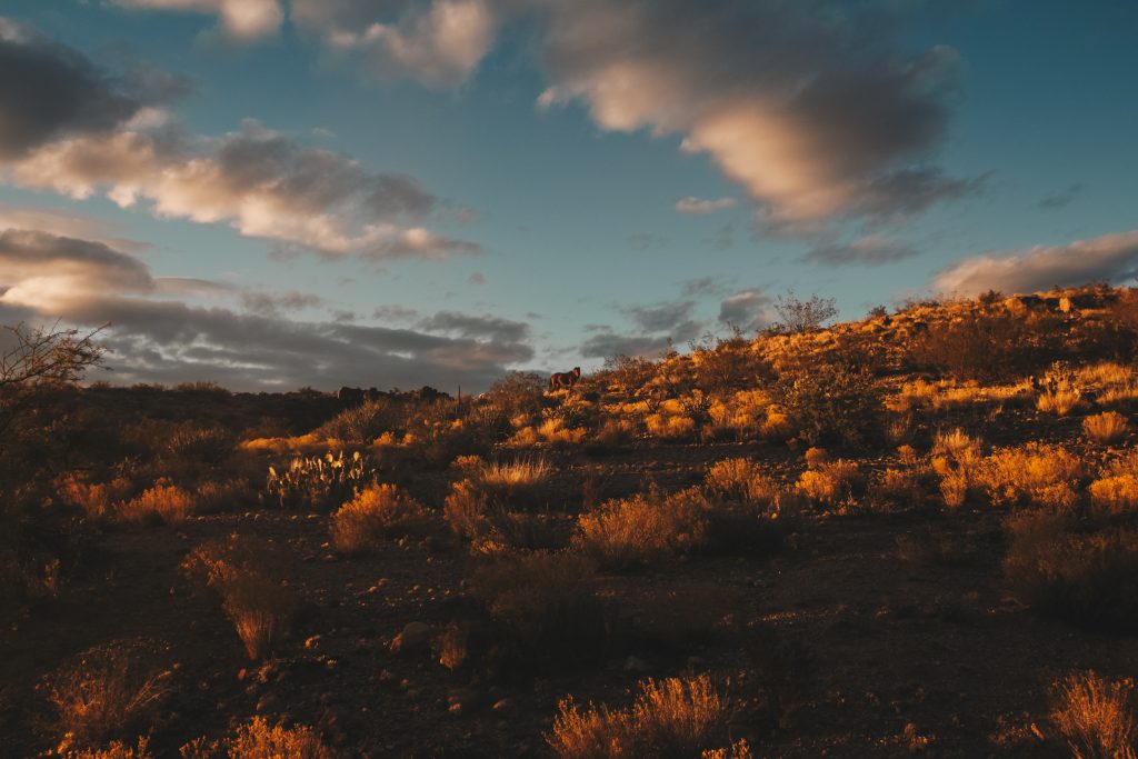 grand_canyon002