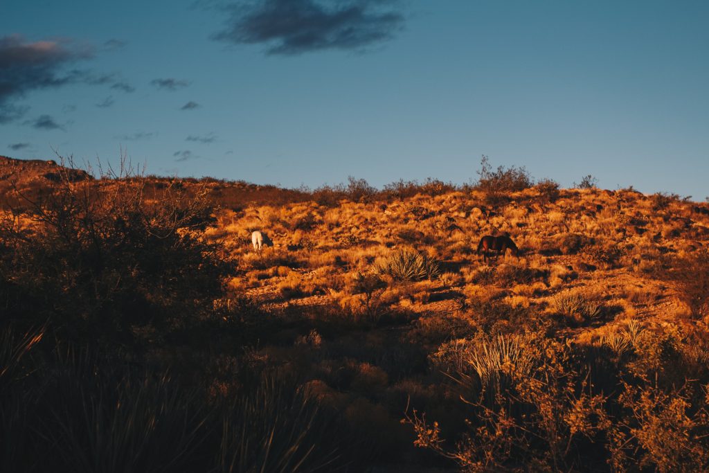 grand_canyon003