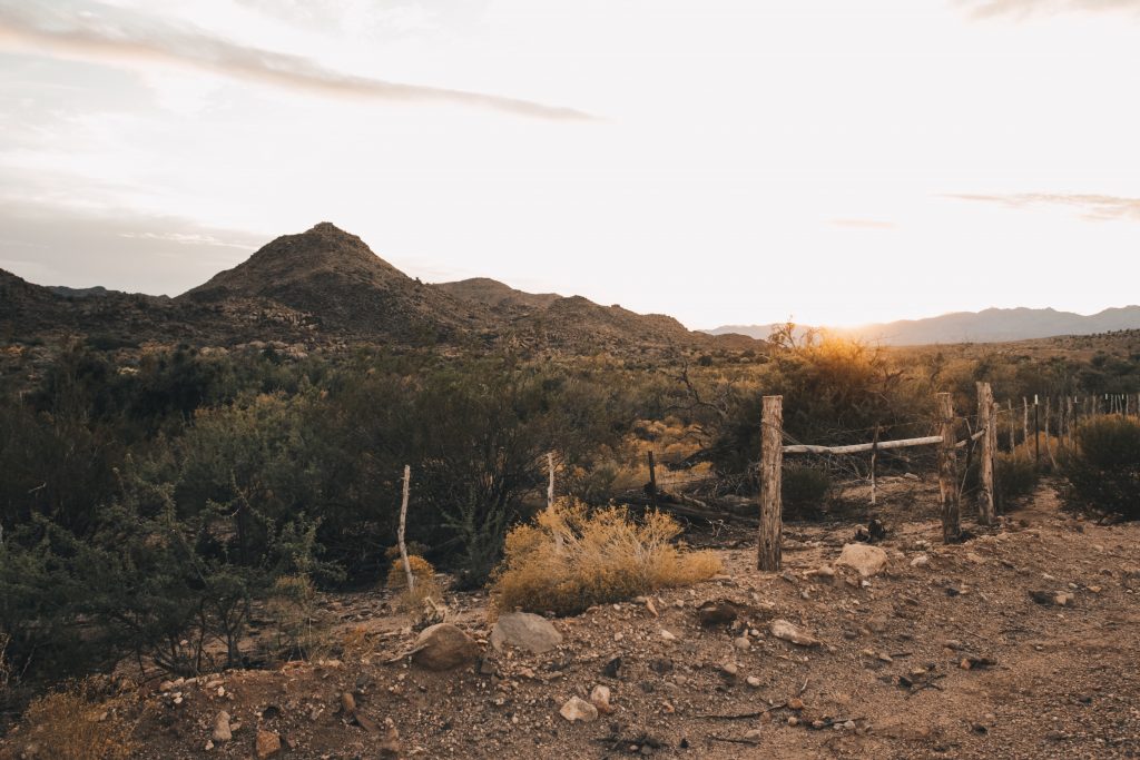 grand_canyon006