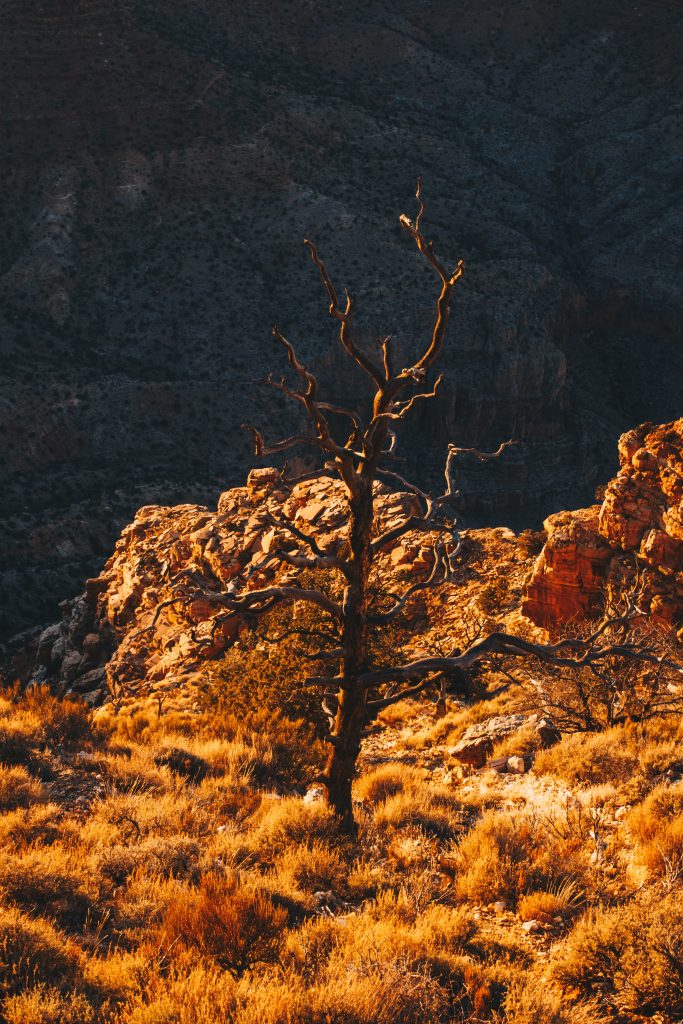 grand_canyon_2_006