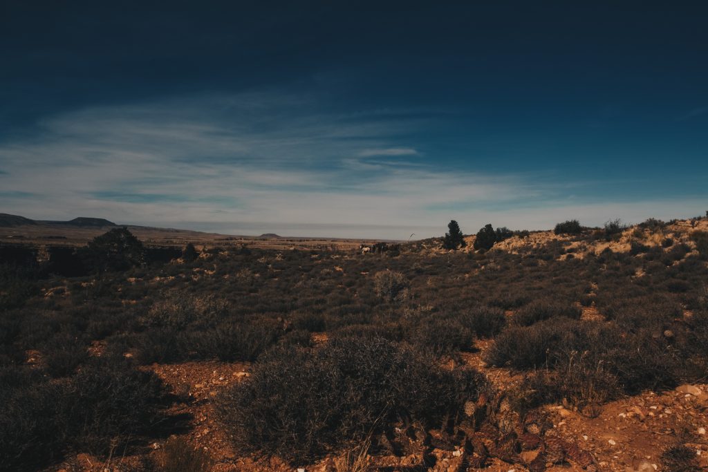grand_canyon_3_028