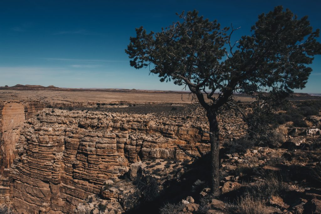 grand_canyon_3_030