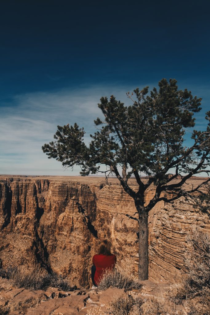 grand_canyon_3_040