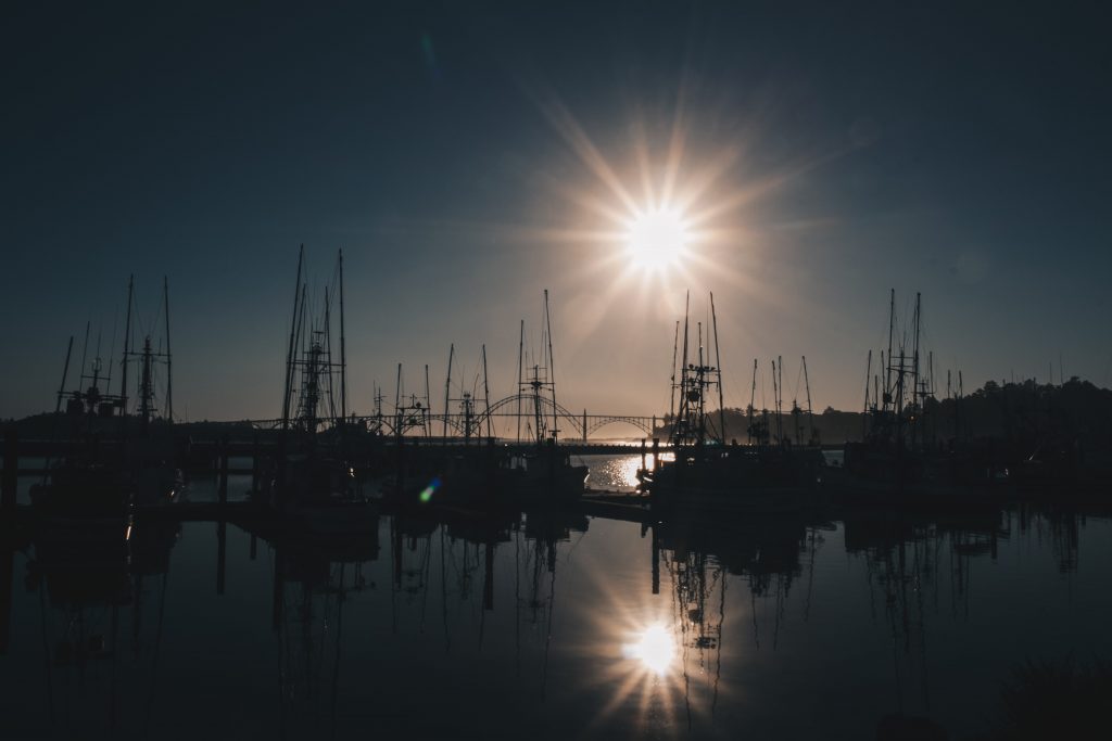 pacific_coast_021
