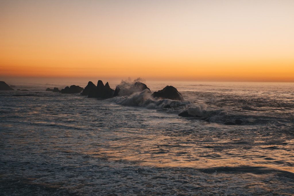 pacific_coast_2_019