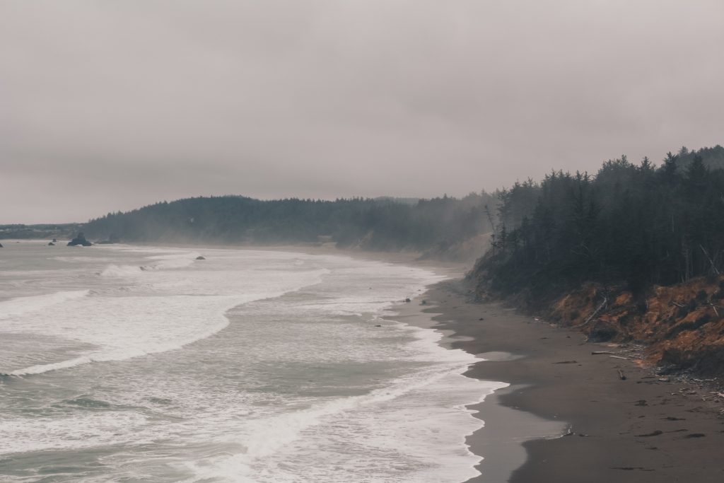 pacific_coast_2_023