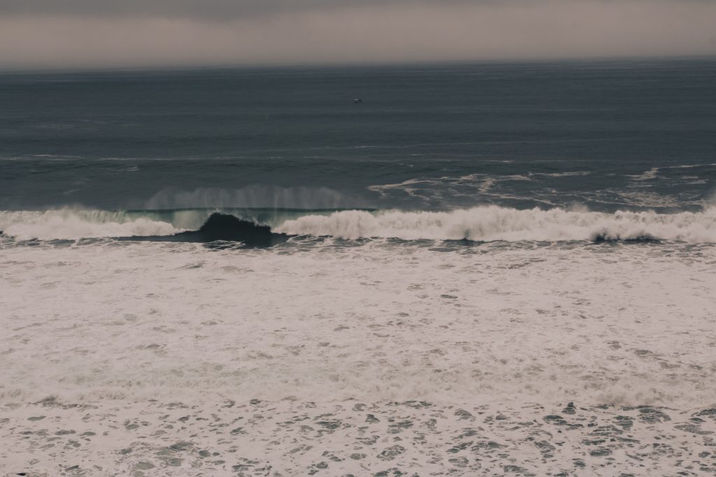 pacific_coast_2_024