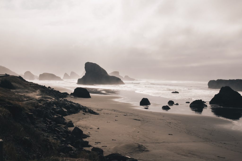 pacific_coast_2_026