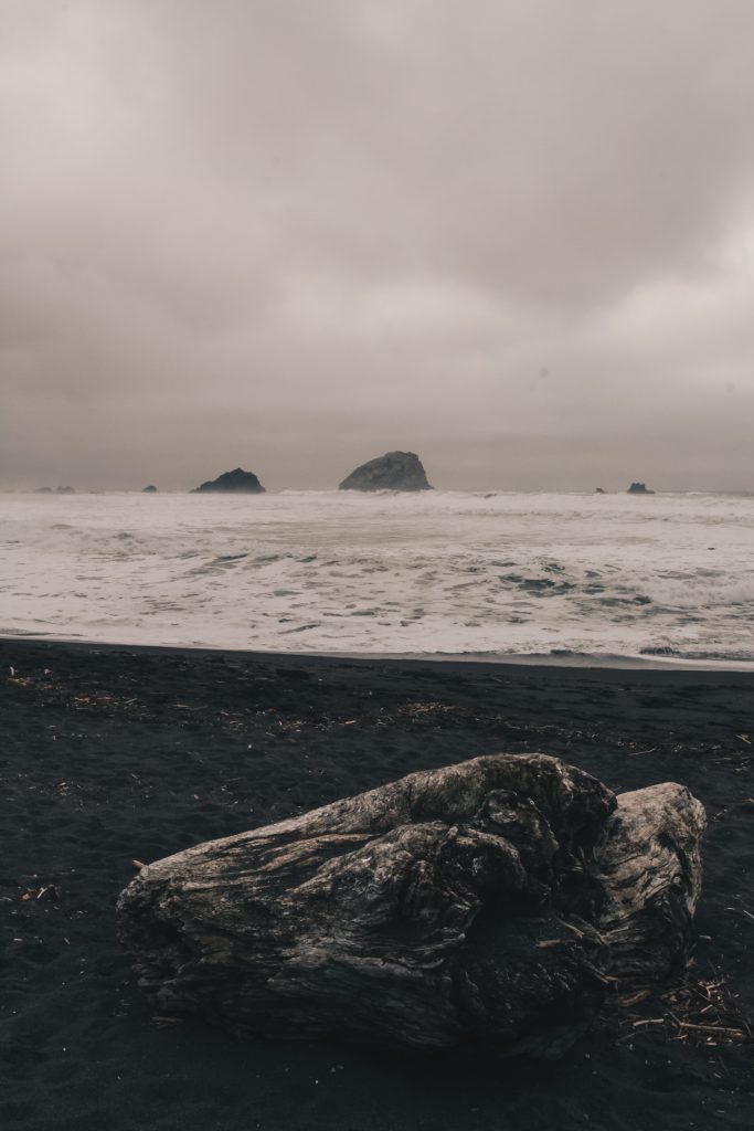 pacific_coast_2_029