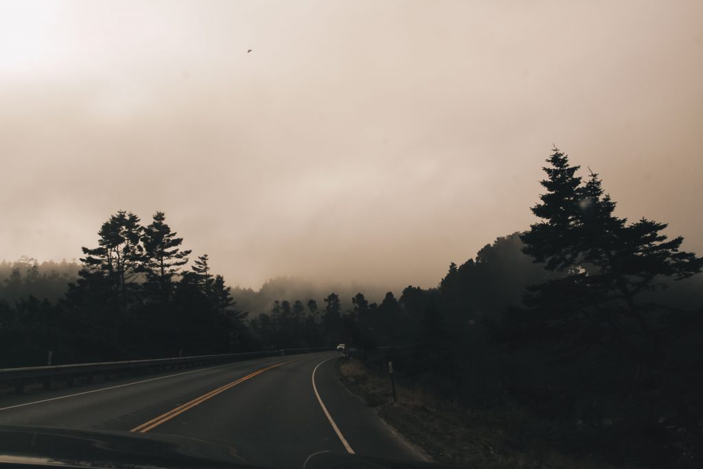 pacific_coast_3_004