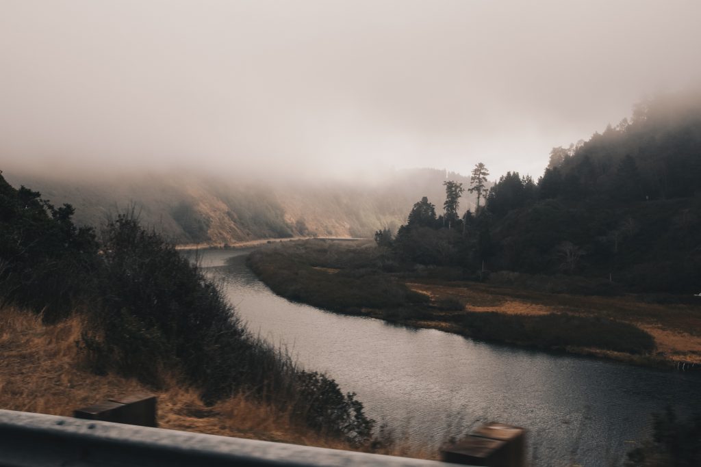 pacific_coast_3_005