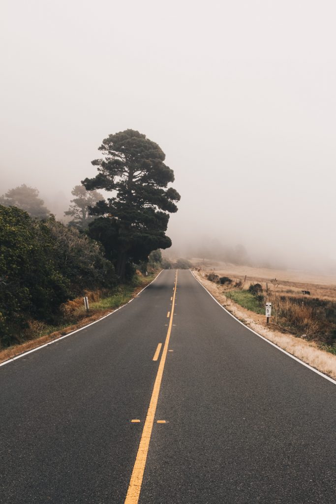 pacific_coast_3_007