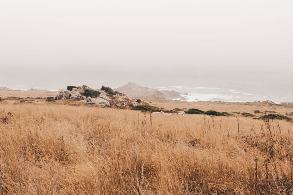 pacific_coast_3_009