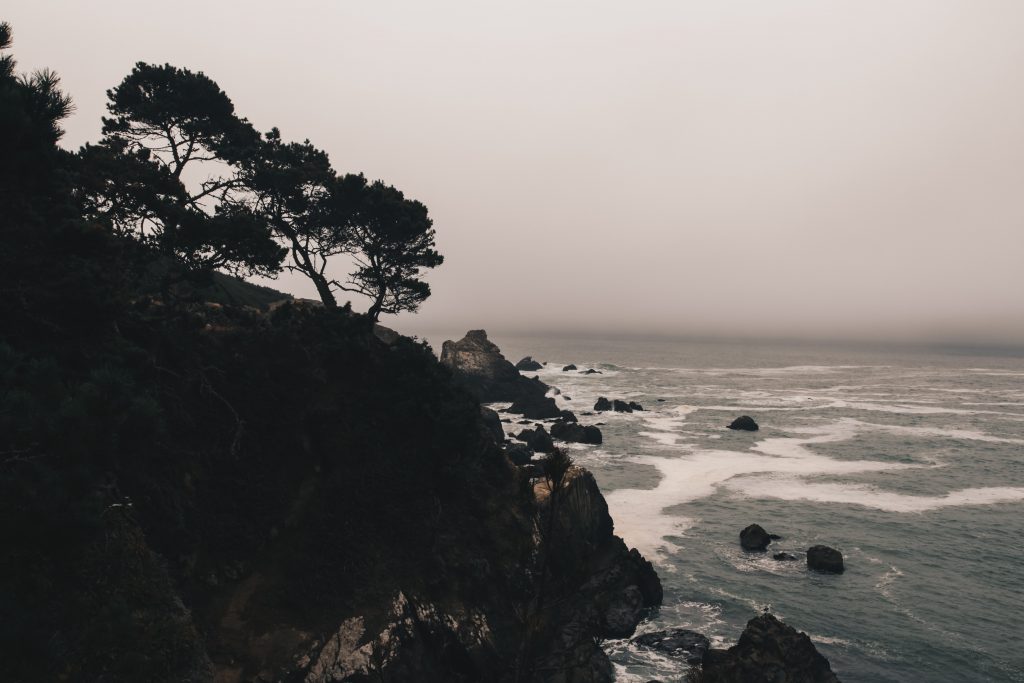 pacific_coast_3_010