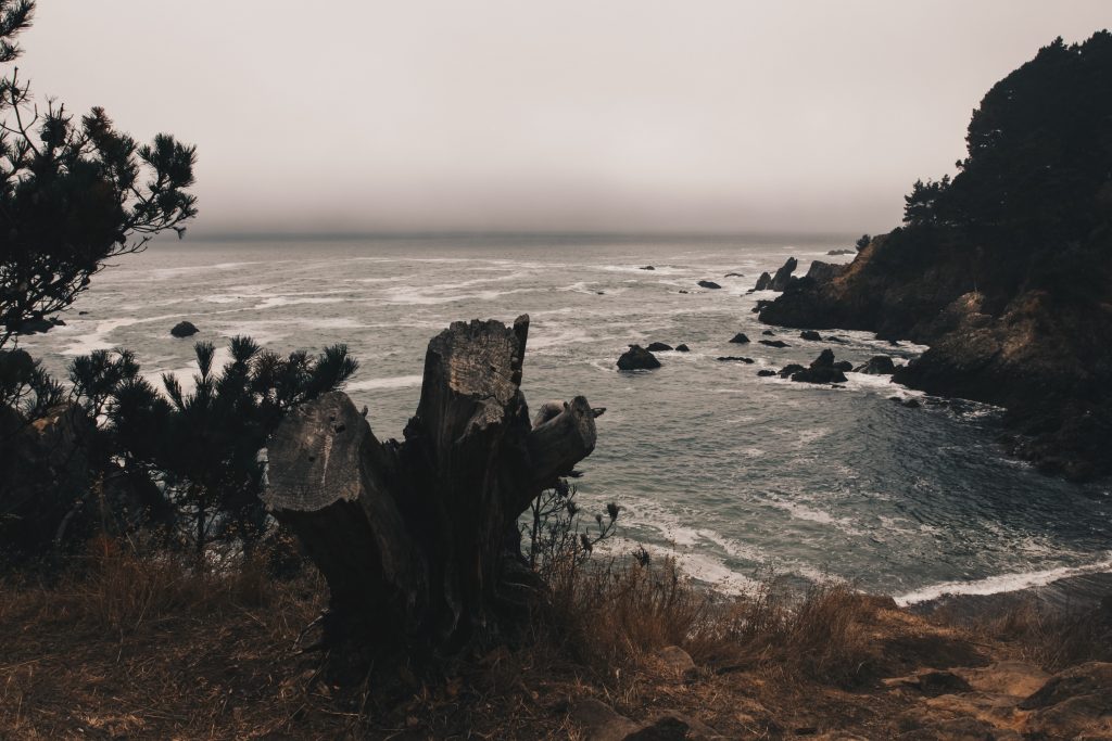 pacific_coast_3_011