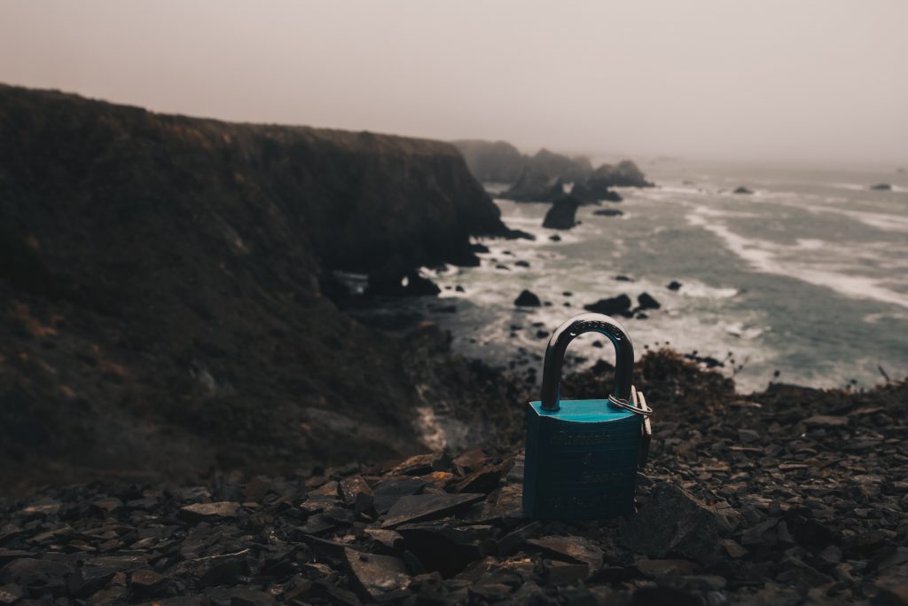 pacific_coast_3_018