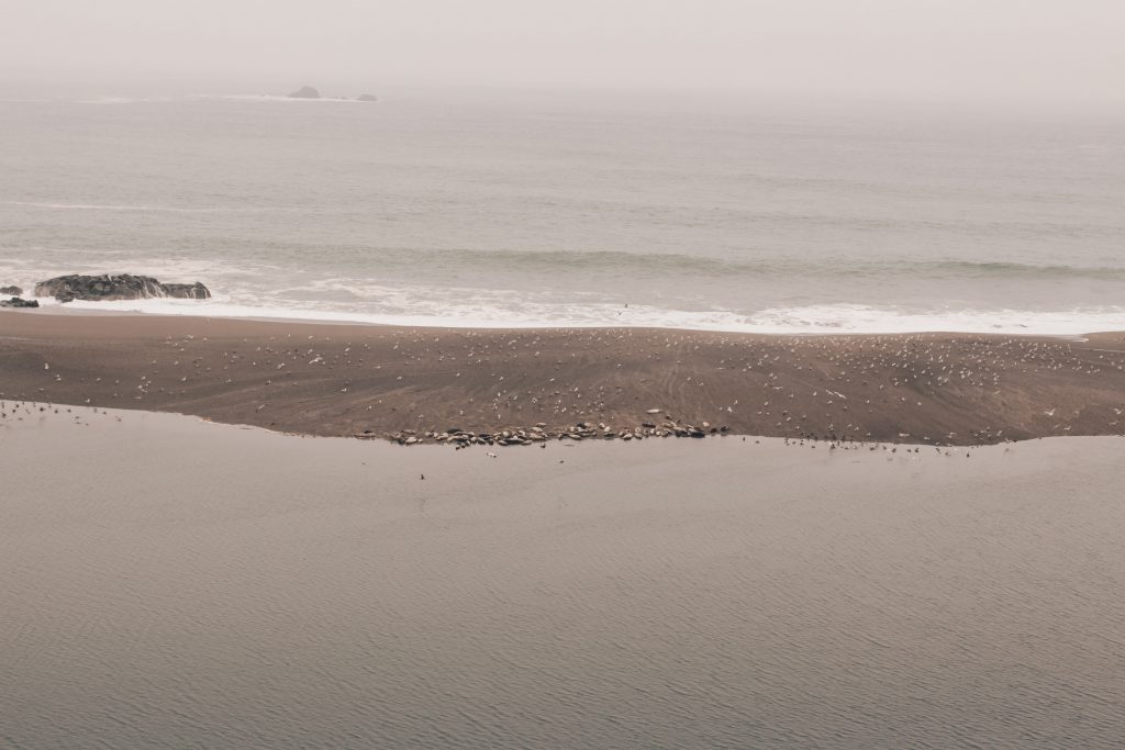 pacific_coast_3_024