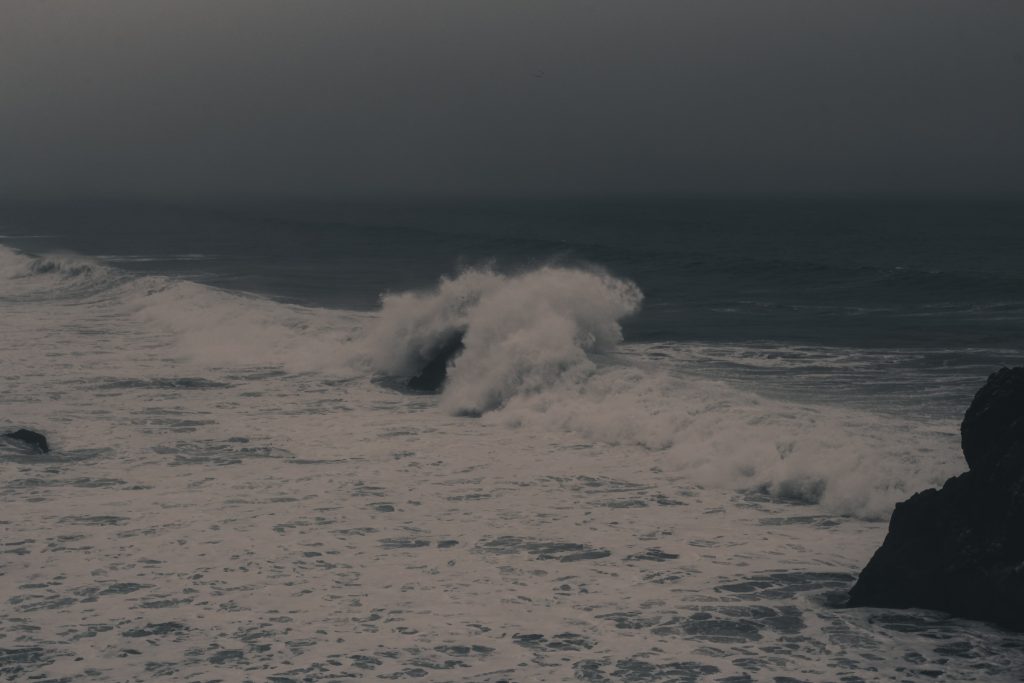 pacific_coast_3_026