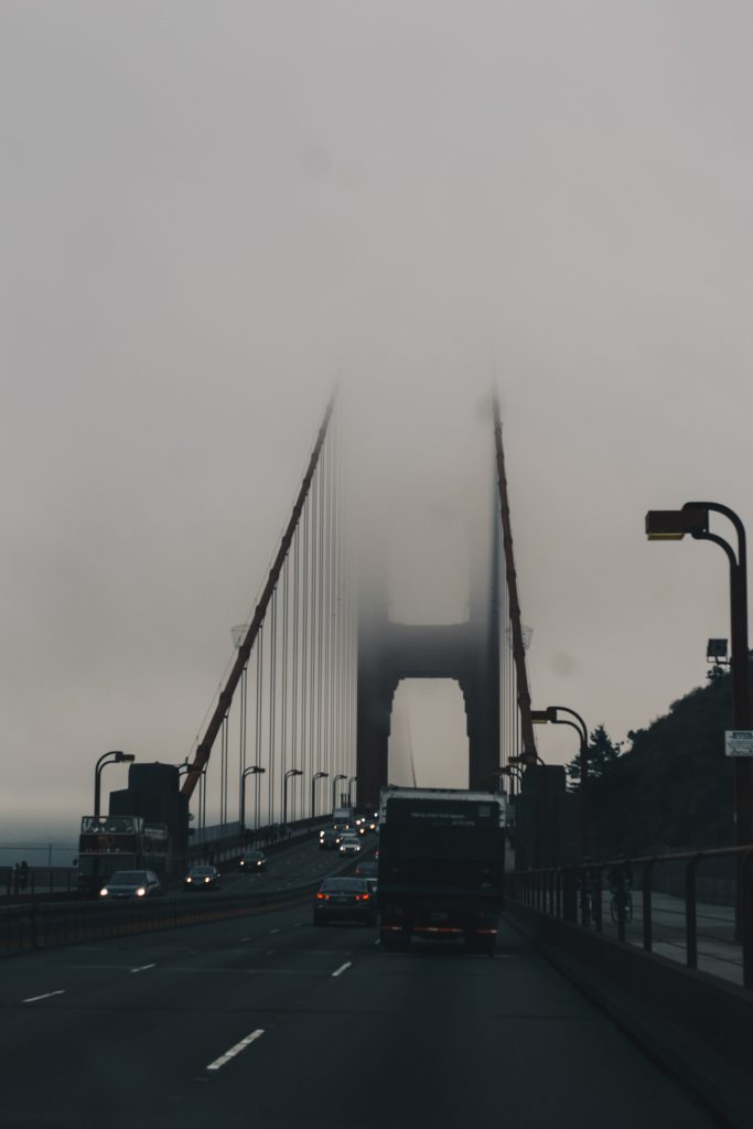 pacific_coast_3_029