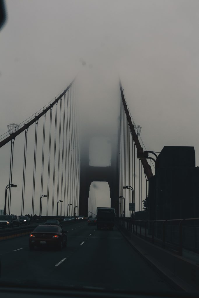 pacific_coast_3_030