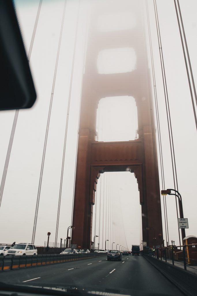 pacific_coast_3_031