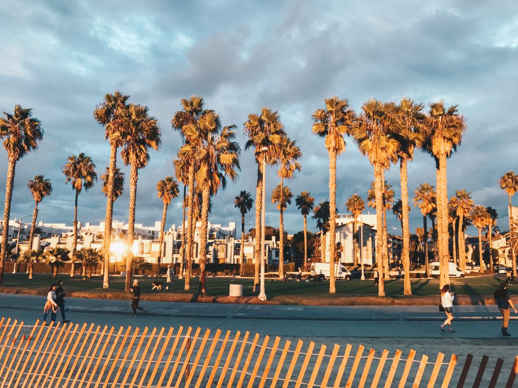 venice_beach_019