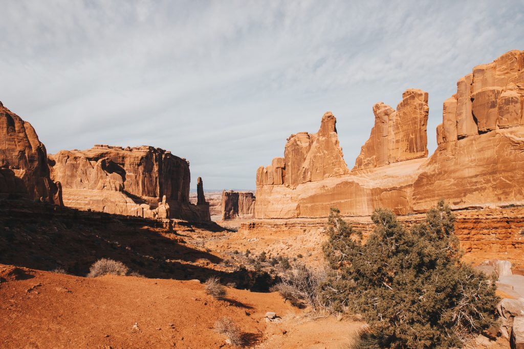 zion_011