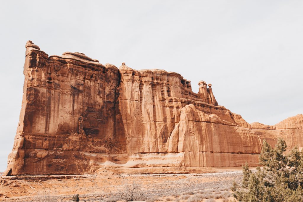 zion_020