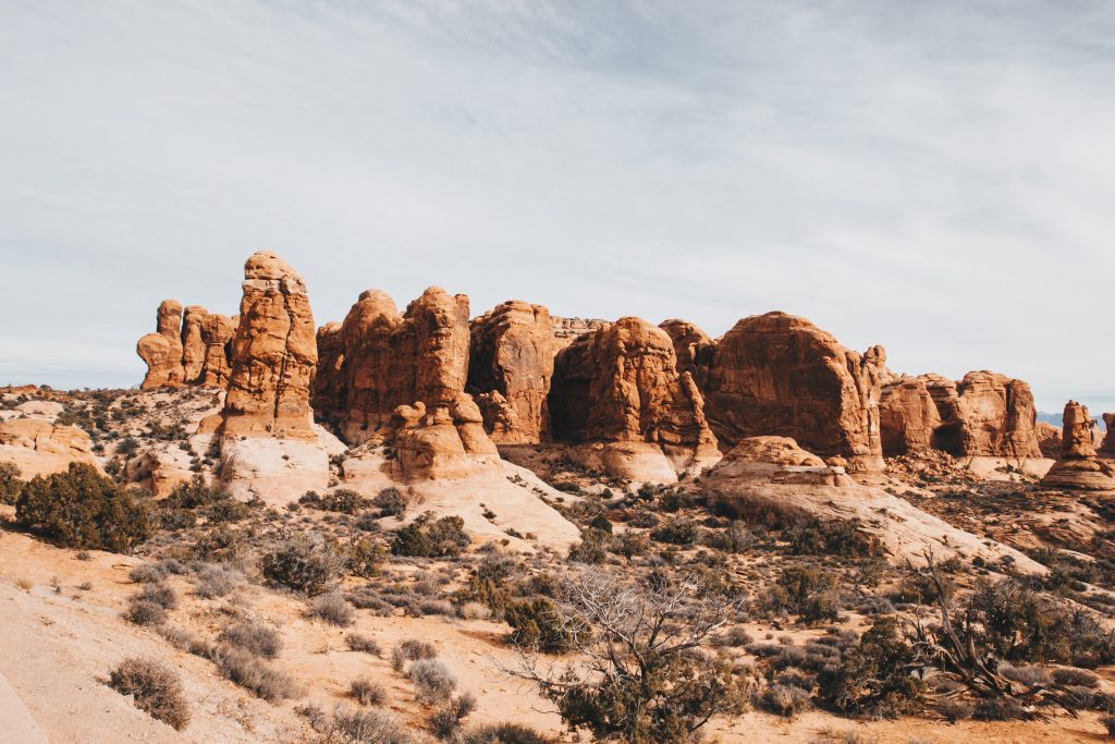 zion_025