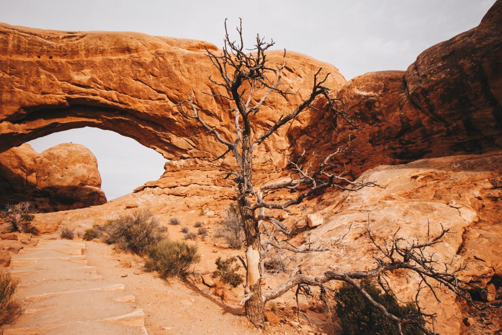 zion_032