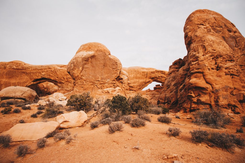 zion_036