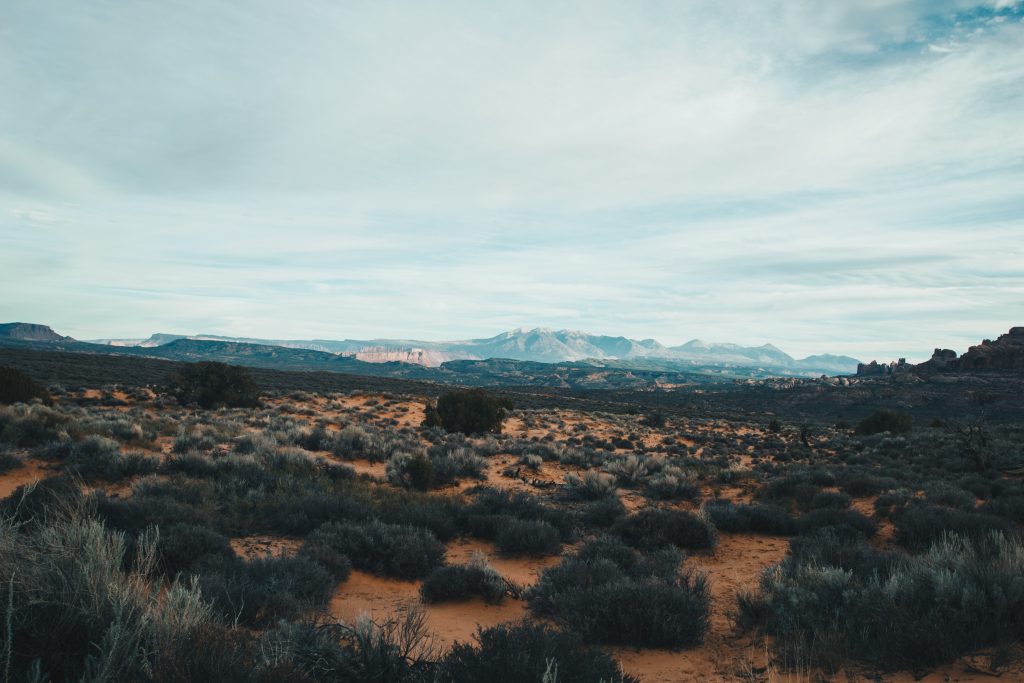zion_042