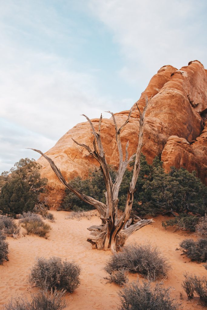 zion_046