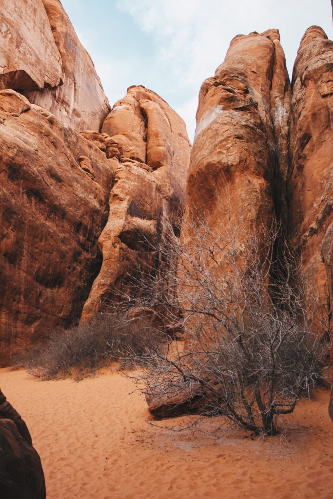 zion_047